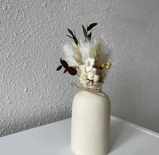 Appartamento Cozy Au Coeur De *